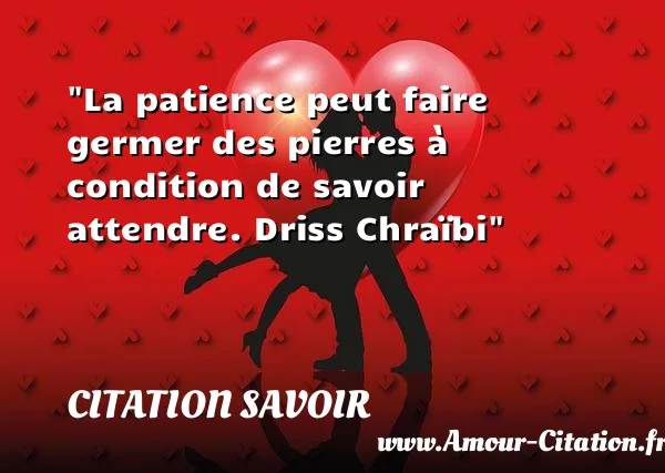 La patience peut faire germer des pierres à condition de savoir attendre. Driss Chraïbi  CITATION SAVOIR