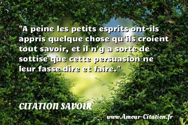 A peine les petits esprits ont-ils appris quelque chose qu ils croient tout savoir, et il n y a sorte de sottise que cette persuasion ne leur fasse dire et faire.  CITATION SAVOIR