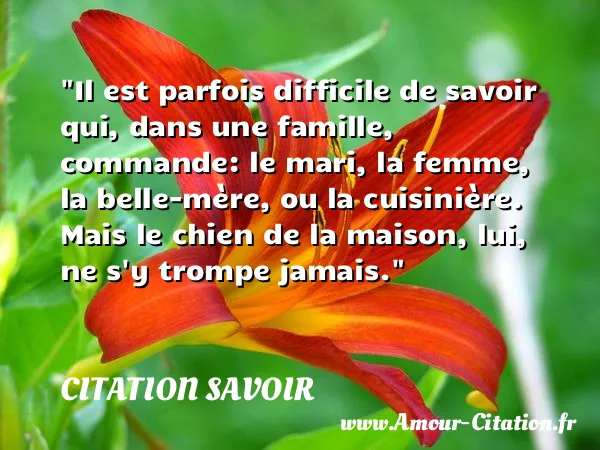 Il est parfois difficile de savoir qui, dans une famille, commande: le mari, la femme, la belle-mère, ou la cuisinière. Mais le chien de la maison, lui, ne s y trompe jamais. CITATION SAVOIR