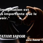  L imagination est plus importante que le savoir.  CITATION SAVOIR