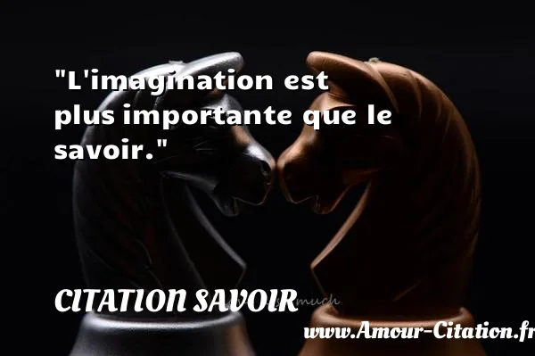 L imagination est plus importante que le savoir. CITATION SAVOIR