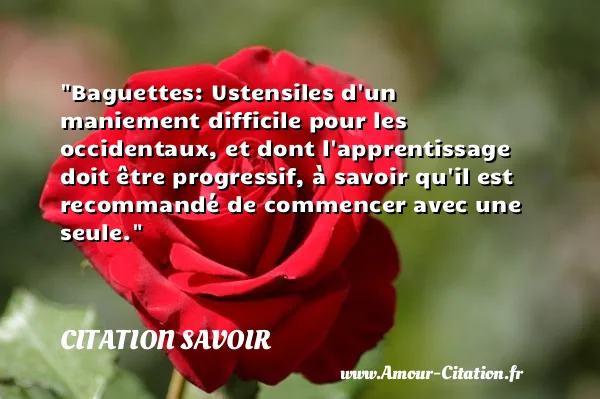 Baguettes: Ustensiles d un maniement difficile pour les occidentaux, et dont l apprentissage doit être progressif, à savoir qu il est recommandé de commencer avec une seule.  CITATION SAVOIR
