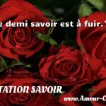  Le demi savoir est à fuir.  CITATION SAVOIR