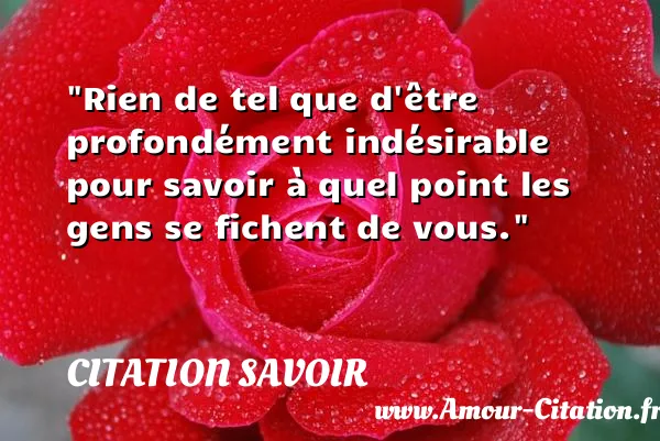 Rien de tel que d être profondément indésirable pour savoir à quel point les gens se fichent de vous.  CITATION SAVOIR
