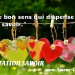  Le bon sens qui dispense de savoir.  CITATION SAVOIR
