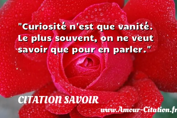 Curiosité n est que vanité. Le plus souvent, on ne veut savoir que pour en parler.  CITATION SAVOIR
