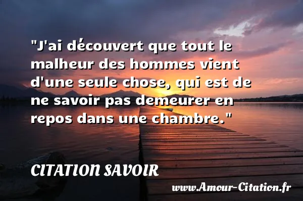 J ai découvert que tout le malheur des hommes vient d une seule chose, qui est de ne savoir pas demeurer en repos dans une chambre. CITATION SAVOIR