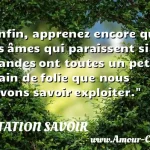  Enfin, apprenez encore que ces âmes qui paraissent si grandes ont toutes un petit grain de folie que nous devons savoir exploiter.  CITATION SAVOIR