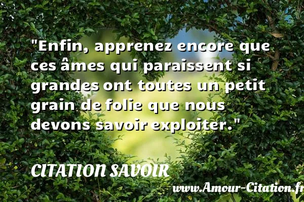 Enfin, apprenez encore que ces âmes qui paraissent si grandes ont toutes un petit grain de folie que nous devons savoir exploiter.  CITATION SAVOIR