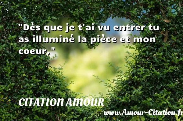 Dès que je t ai vu entrer tu as illuminé la pièce et mon coeur.  CITATION AMOUR