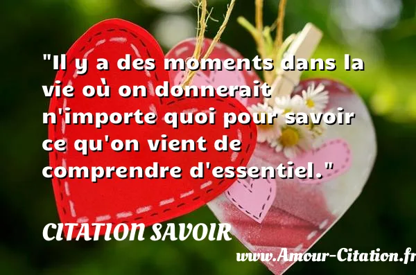 Il y a des moments dans la vie où on donnerait n importe quoi pour savoir ce qu on vient de comprendre d essentiel.  CITATION SAVOIR