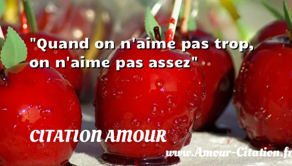 Quand on n aime pas trop, on n aime pas assez  CITATION AMOUR