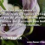  Je voudrais bien savoir si la grande règle de toutes les règles n est pas de plaire et si une pièce de théâtre qui a attrapé son but n a pas suivi un bon chemin.  CITATION SAVOIR