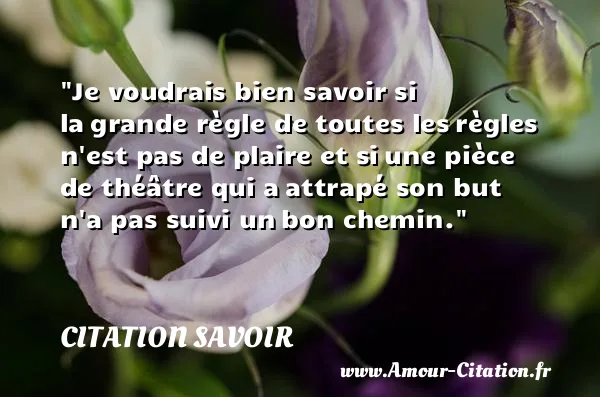 Je voudrais bien savoir si la grande règle de toutes les règles n est pas de plaire et si une pièce de théâtre qui a attrapé son but n a pas suivi un bon chemin.  CITATION SAVOIR
