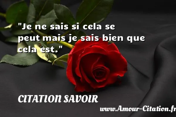 Je ne sais si cela se peut mais je sais bien que cela est.  CITATION SAVOIR