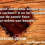  Quel admirable animal que le cochon ! Il ne lui manque que de savoir faire lui-même son boudin.  CITATION SAVOIR