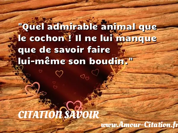 Quel admirable animal que le cochon ! Il ne lui manque que de savoir faire lui-même son boudin. CITATION SAVOIR