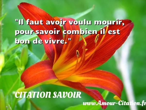 Il faut avoir voulu mourir, pour savoir combien il est bon de vivre. CITATION SAVOIR