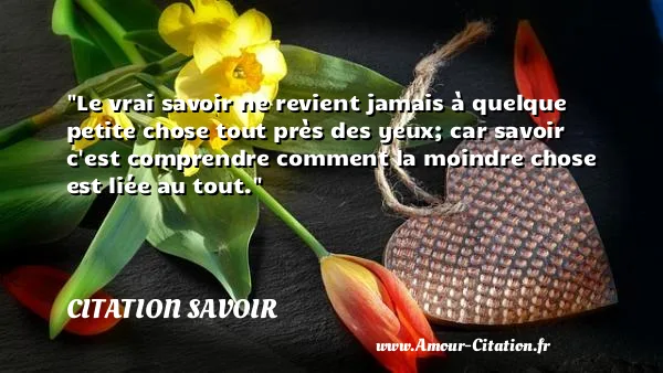 Le vrai savoir ne revient jamais à quelque petite chose tout près des yeux; car savoir c est comprendre comment la moindre chose est liée au tout. CITATION SAVOIR