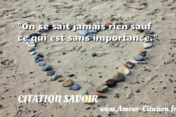 On se sait jamais rien sauf ce qui est sans importance.  CITATION SAVOIR