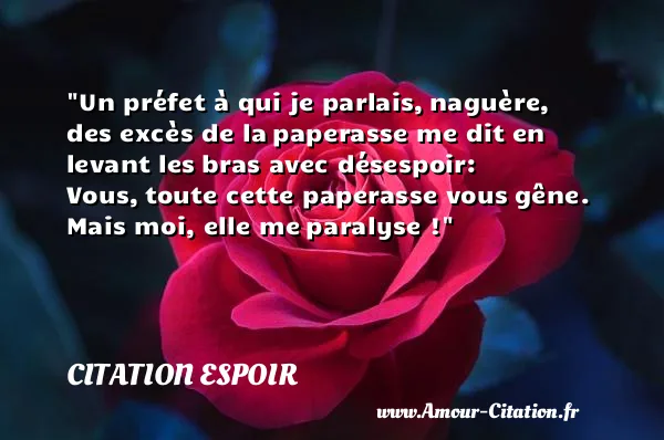 Un préfet à qui je parlais, naguère, des excès de la paperasse me dit en levant les bras avec désespoir: Vous, toute cette paperasse vous gêne. Mais moi, elle me paralyse ! CITATION ESPOIR