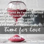  Ah ! Madame, faut-il me voir précipité De l espoir glorieux dont je m étais flatté ? Et ne puis-je savoir quels crimes on m impute, Pour avoir mérité cette effroyable chute ?  CITATION ESPOIR