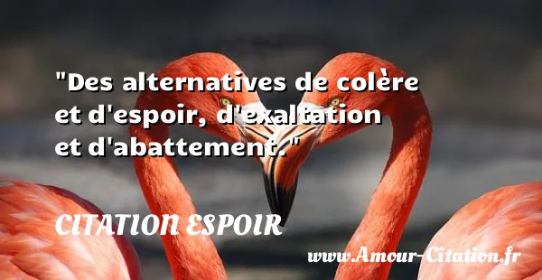 Des alternatives de colère et d espoir, d exaltation et d abattement. CITATION ESPOIR
