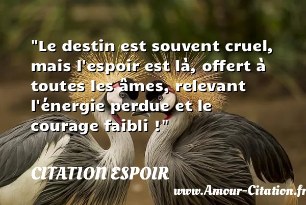 Le destin est souvent cruel, mais l espoir est là, offert à toutes les âmes, relevant l énergie perdue et le courage faibli ! CITATION ESPOIR
