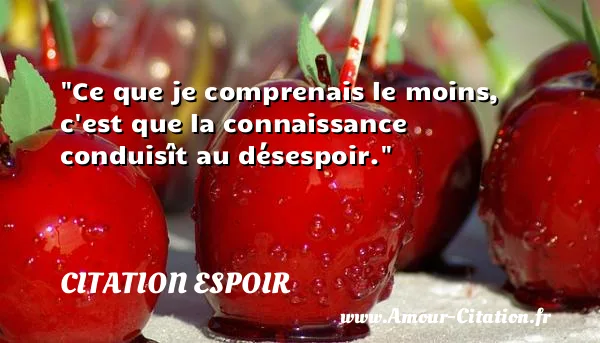 Ce que je comprenais le moins, c est que la connaissance conduisît au désespoir.  CITATION ESPOIR