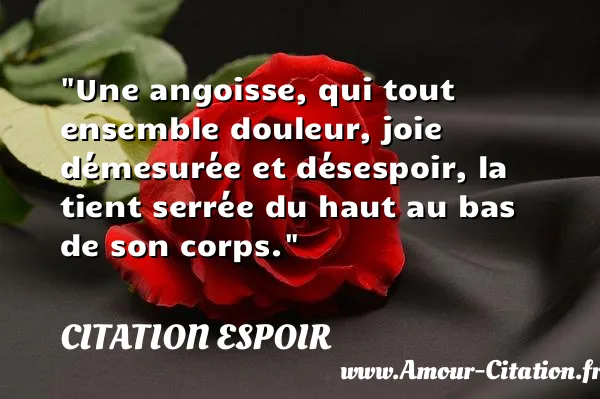 Une angoisse, qui tout ensemble douleur, joie démesurée et désespoir, la tient serrée du haut au bas de son corps. CITATION ESPOIR