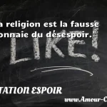  La religion est la fausse monnaie du désespoir.  CITATION ESPOIR