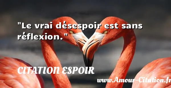 Le vrai désespoir est sans réflexion. CITATION ESPOIR