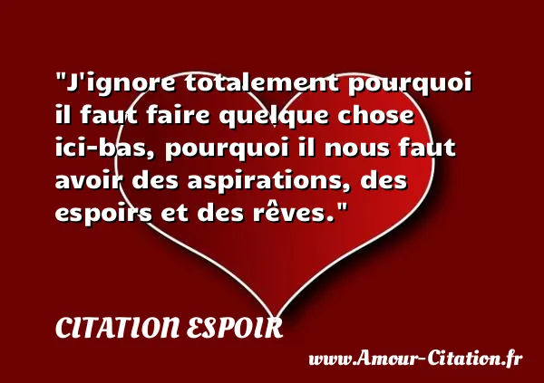 J ignore totalement pourquoi il faut faire quelque chose ici-bas, pourquoi il nous faut avoir des aspirations, des espoirs et des rêves.  CITATION ESPOIR