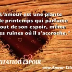 L'amour est une plante de L amour est une plante de printemps qui parfume tout de son espoir, même les ruines où il s accroche. CITATION ESPOIR