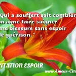  Qui a souffert sait combien on aime faire saigner une blessure sans espoir de guérison.  CITATION ESPOIR