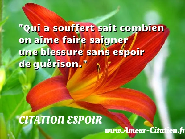 Qui a souffert sait combien on aime faire saigner une blessure sans espoir de guérison. CITATION ESPOIR