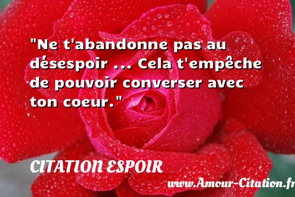 Ne t abandonne pas au désespoir ... Cela t empêche de pouvoir converser avec ton coeur.  CITATION ESPOIR