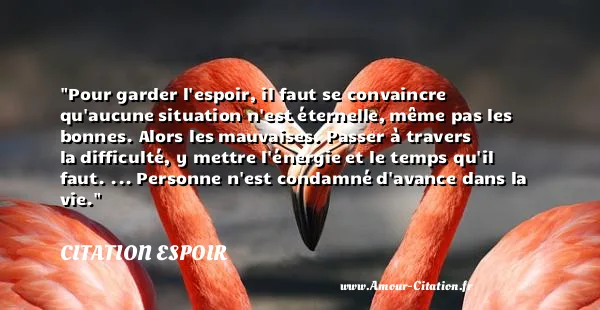 Pour garder l espoir, il faut se convaincre qu aucune situation n est éternelle, même pas les bonnes. Alors les mauvaises. Passer à travers la difficulté, y mettre l énergie et le temps qu il faut. ... Personne n est condamné d avance dans la vie. CITATION ESPOIR