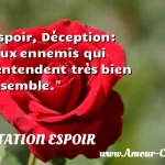  Espoir, Déception: deux ennemis qui s entendent très bien ensemble.  CITATION ESPOIR