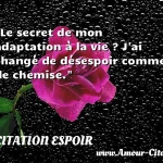  Le secret de mon adaptation à la vie ? J ai changé de désespoir comme de chemise.  CITATION ESPOIR