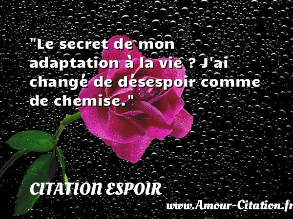 Le secret de mon adaptation à la vie ? J ai changé de désespoir comme de chemise.  CITATION ESPOIR