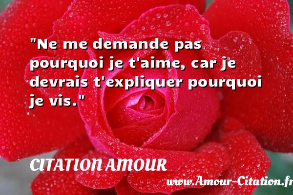 Ne me demande pas pourquoi je t aime, car je devrais t expliquer pourquoi je vis.  CITATION AMOUR