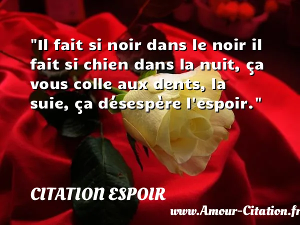 Il fait si noir dans le noir il fait si chien dans la nuit, ça vous colle aux dents, la suie, ça désespère l espoir.  CITATION ESPOIR