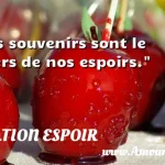  Nos souvenirs sont le revers de nos espoirs.  CITATION ESPOIR