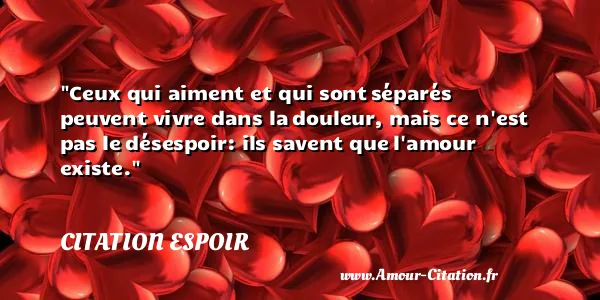 Ceux qui aiment et qui sont séparés peuvent vivre dans la douleur, mais ce n est pas le désespoir: ils savent que l amour existe.  CITATION ESPOIR