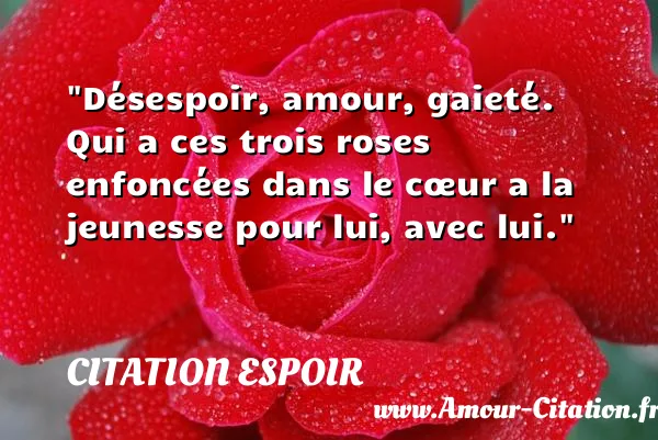 Désespoir, amour, gaieté. Qui a ces trois roses enfoncées dans le cœur a la jeunesse pour lui, avec lui.  CITATION ESPOIR