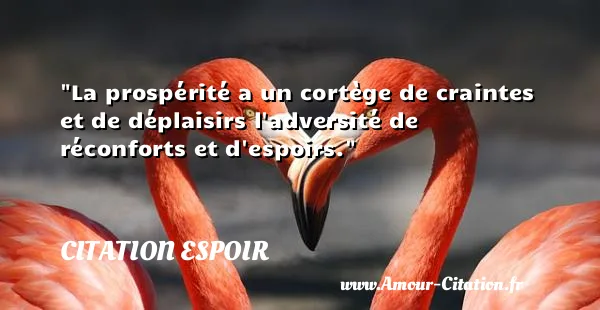 La prospérité a un cortège de craintes et de déplaisirs l adversité de réconforts et d espoirs.  CITATION ESPOIR