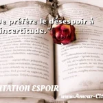  Je préfère le désespoir à l incertitude.  CITATION ESPOIR
