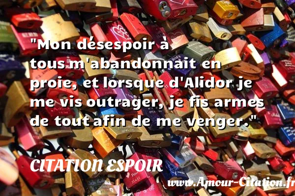 Mon désespoir à tous m abandonnait en proie, et lorsque d Alidor je me vis outrager, je fis armes de tout afin de me venger.  CITATION ESPOIR