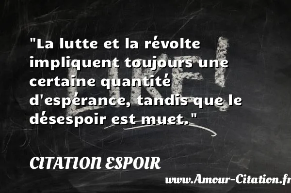 La lutte et la révolte impliquent toujours une certaine quantité d espérance, tandis que le désespoir est muet.  CITATION ESPOIR